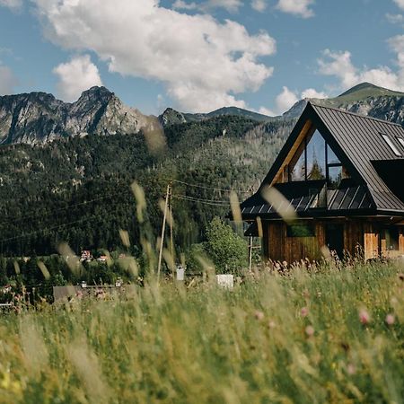 Sywarne Chalet Kościelisko Exteriör bild