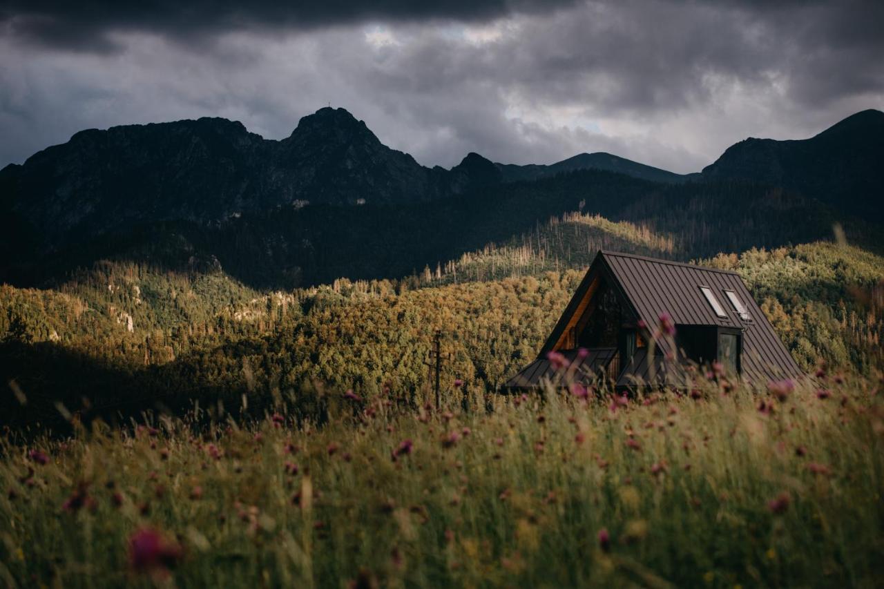 Sywarne Chalet Kościelisko Exteriör bild